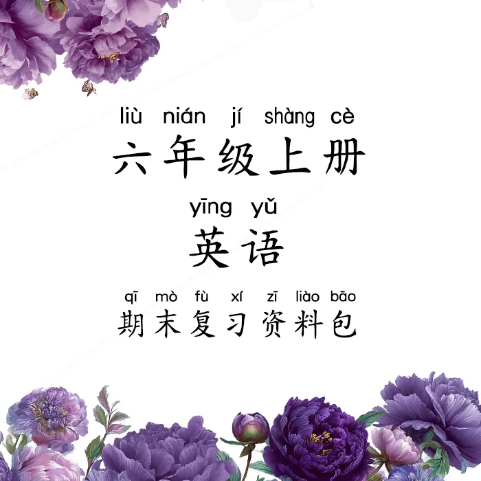 六年级上册英语资料包语法等