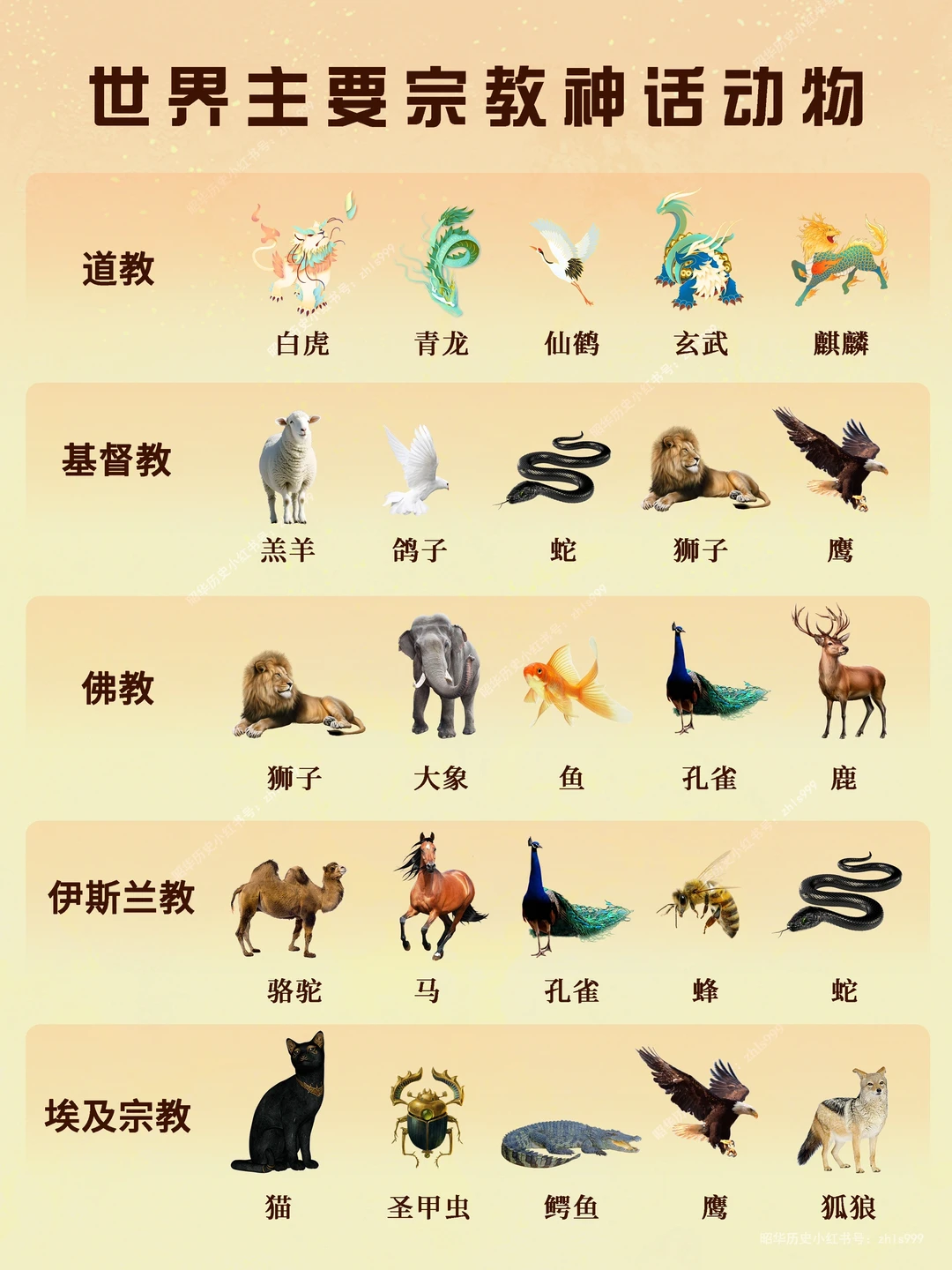 各大宗教文化的动物寓意