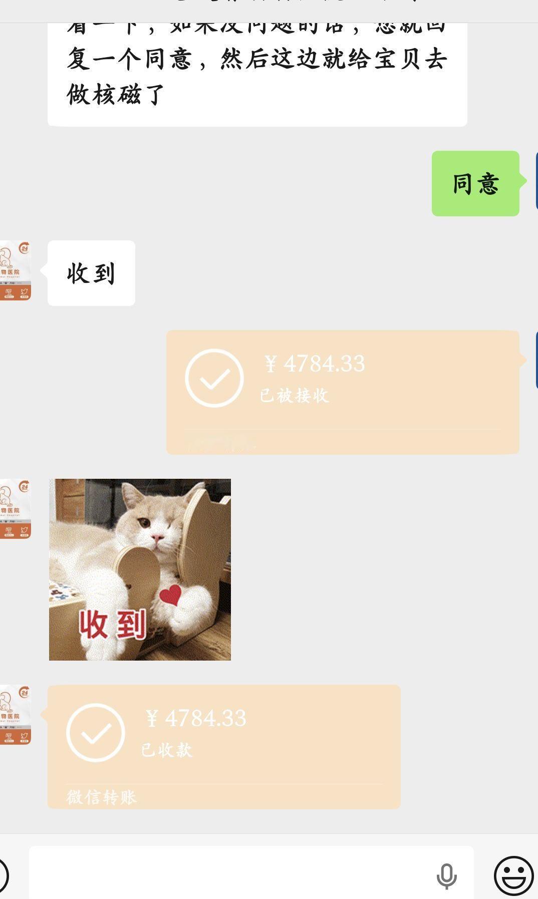 这个月男担女担的商务都孝不动了，接手了一只产后感染的咪咪，现在钱包在以每日千元打底的速度疯狂燃烧，今天做了个核磁直接没了4000，它原主人既没给它打疫苗也没买医保[捂嘴哭] ​