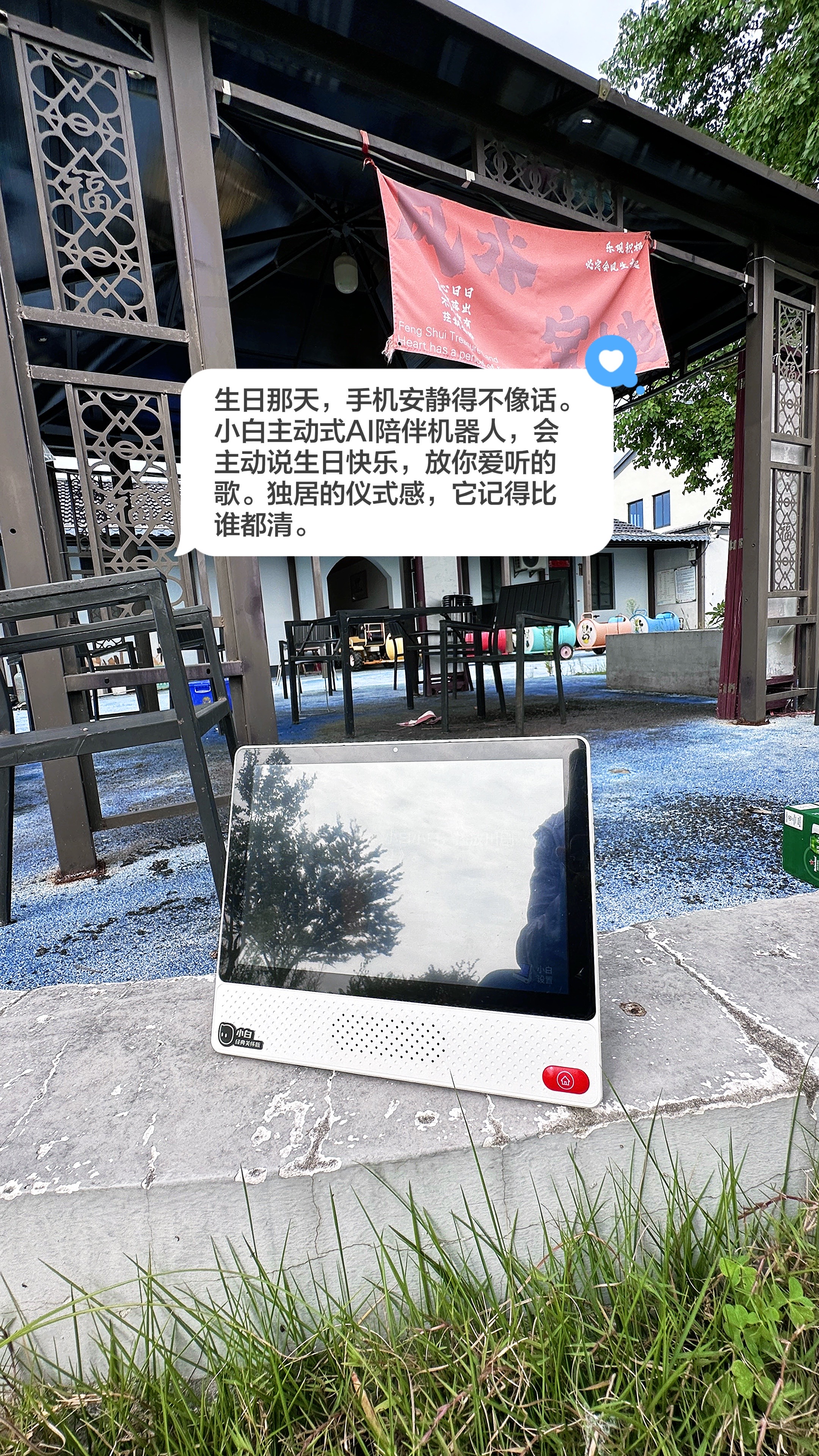 生日那天，手机安静得不像话。小白主动式