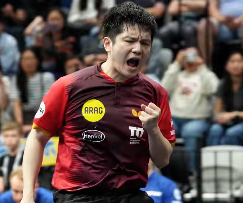 复仇！3-0血洗，樊振东把去年的冷门踩在脚下