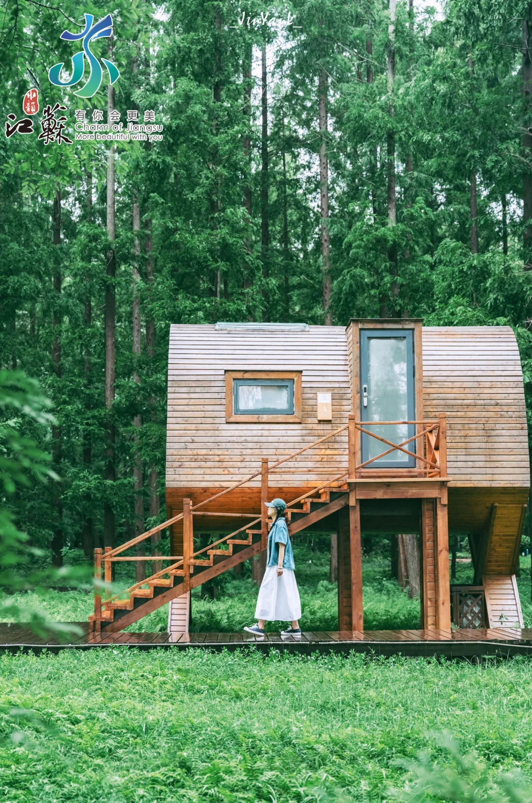 不敢相信‼️盐城海滨藏着童话里的海上森林🍃