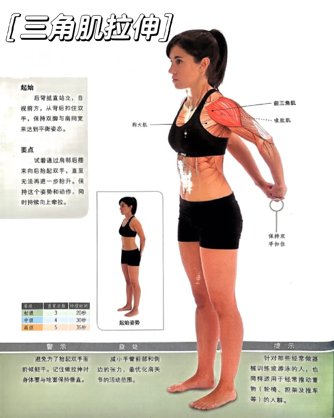 三角肌拉伸 、帮你放松肩部肌肉