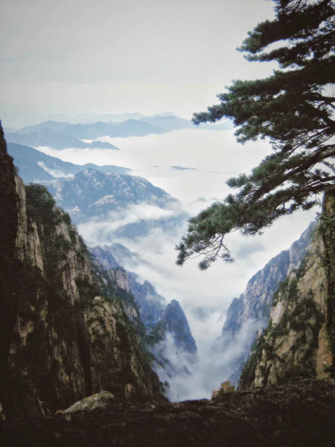 登黄山才知道水墨画是写实派 ！