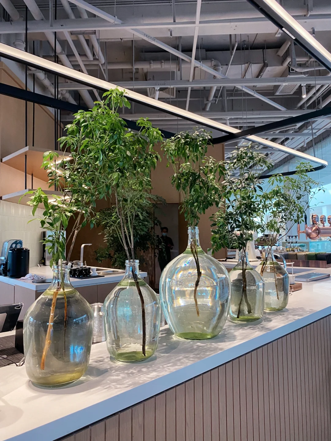 今日份遛崽日记