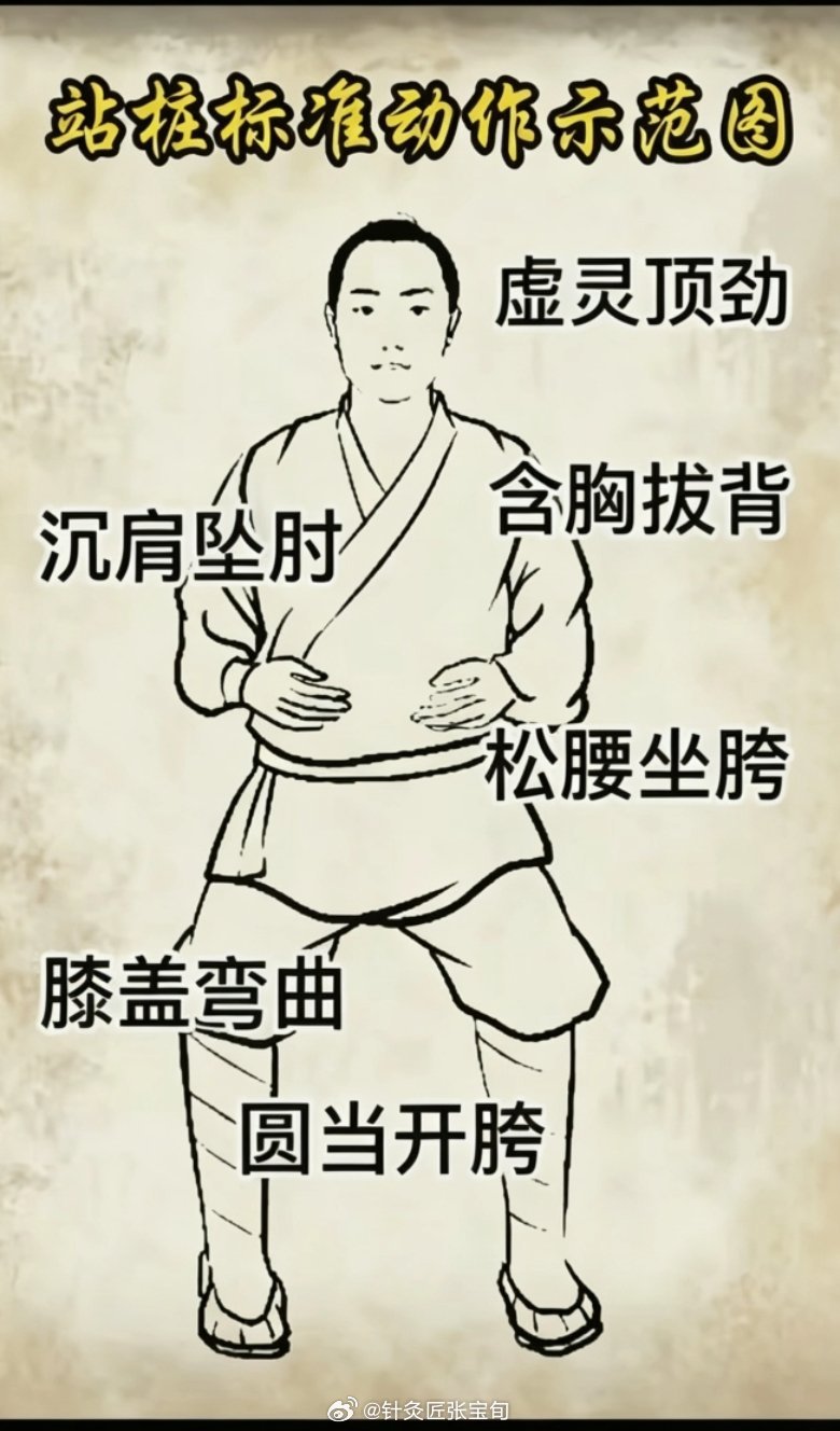 站桩不是仅仅是个架子，更关键的是经络的气机升调。站的时候肩井穴和涌泉穴...