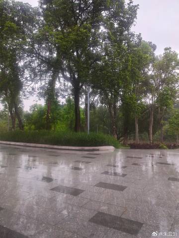 分享图片