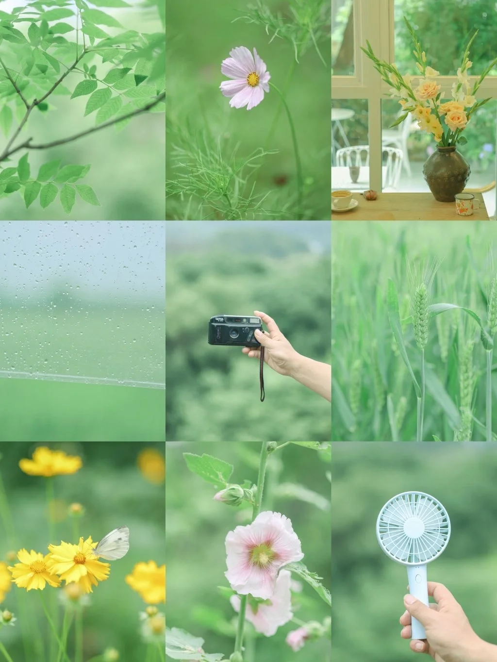 清新氧气绿调色/夏日壁纸🌿绿色YYDS❗️