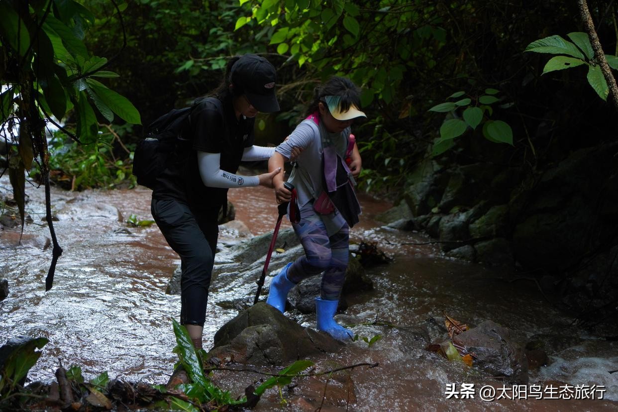 西双版纳的河漫滩生态：洪水脉冲与生物多样性