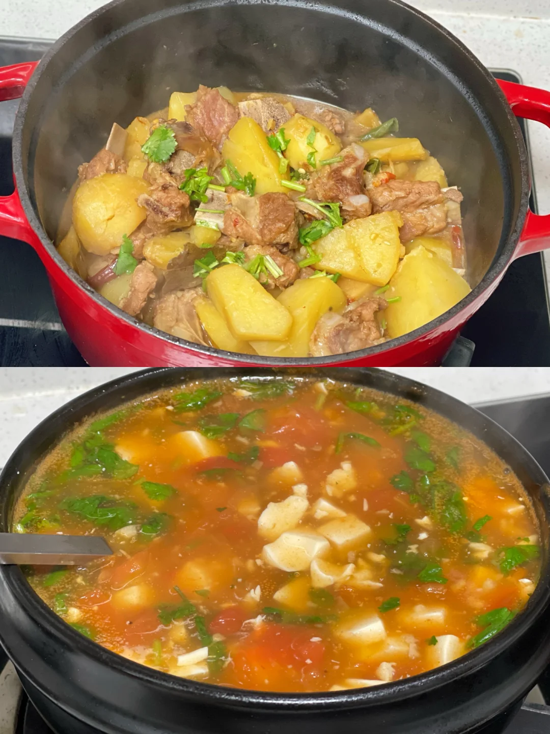 今日分享土豆炖排骨番茄嫩豆腐羹做法来啦