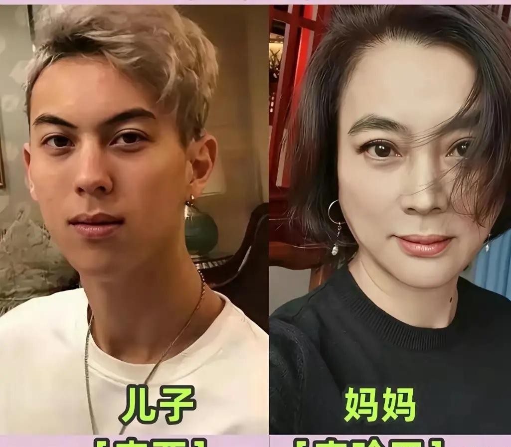 都说“儿子随妈”是老话，但你看完这几位艺人和他们母亲的合影，才明白什么叫医学解释不了的硬核克隆。
有些遗传是不讲道理的。你看杨迪和他妈妈，还有杜海涛娘俩，那眉眼笑起来的弧度和鼻梁走向，简直就像直接套了一个模具。哪怕不用做任何说明，把两人往那一摆，谁都挑不出半点不是。
但到了浓颜和骨相这一块，母亲