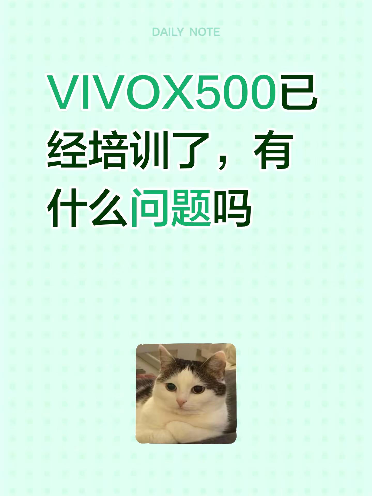 VIVOX500已经培训了，有什么问题吗#vivoX500 #vivo #VIVO #VIVOX500 #vivo用户必看