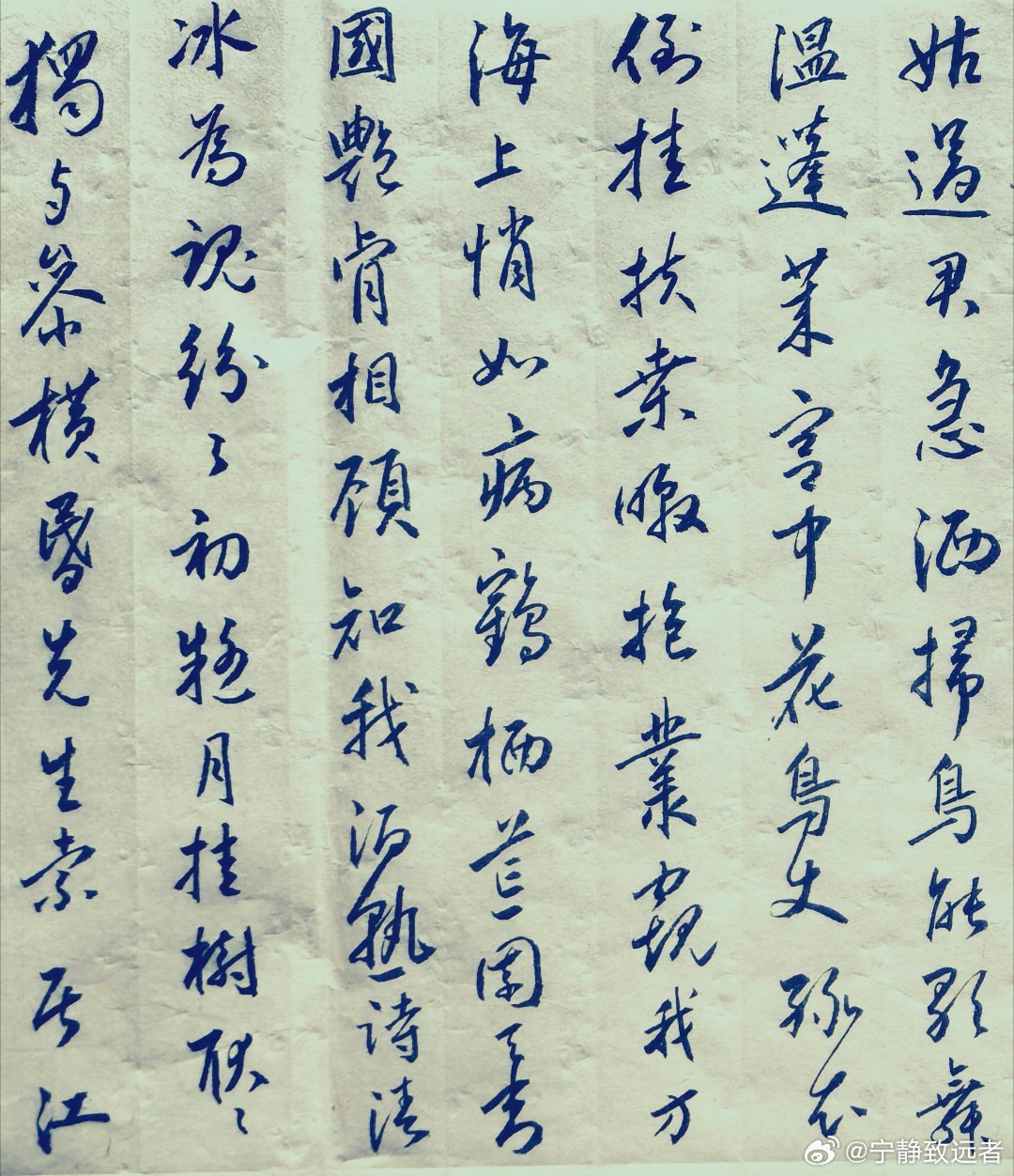 节临赵孟頫梅花诗帖 ​​​