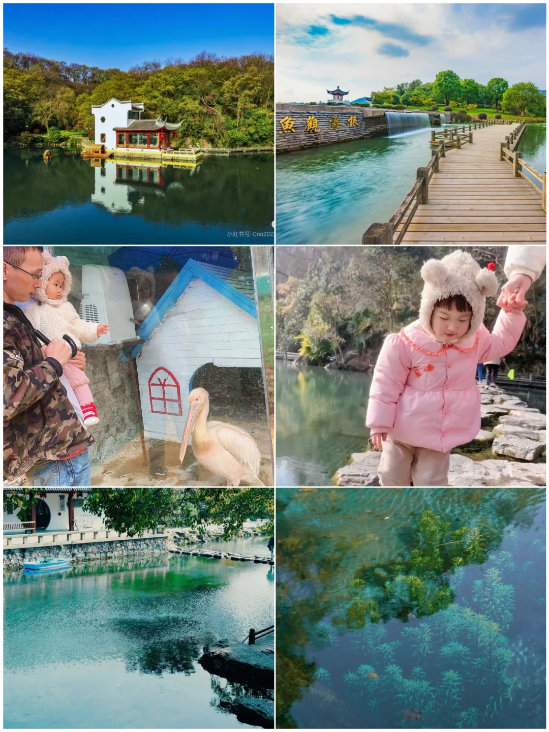 连续免费开放七天，一起给珍珠泉过40岁生日