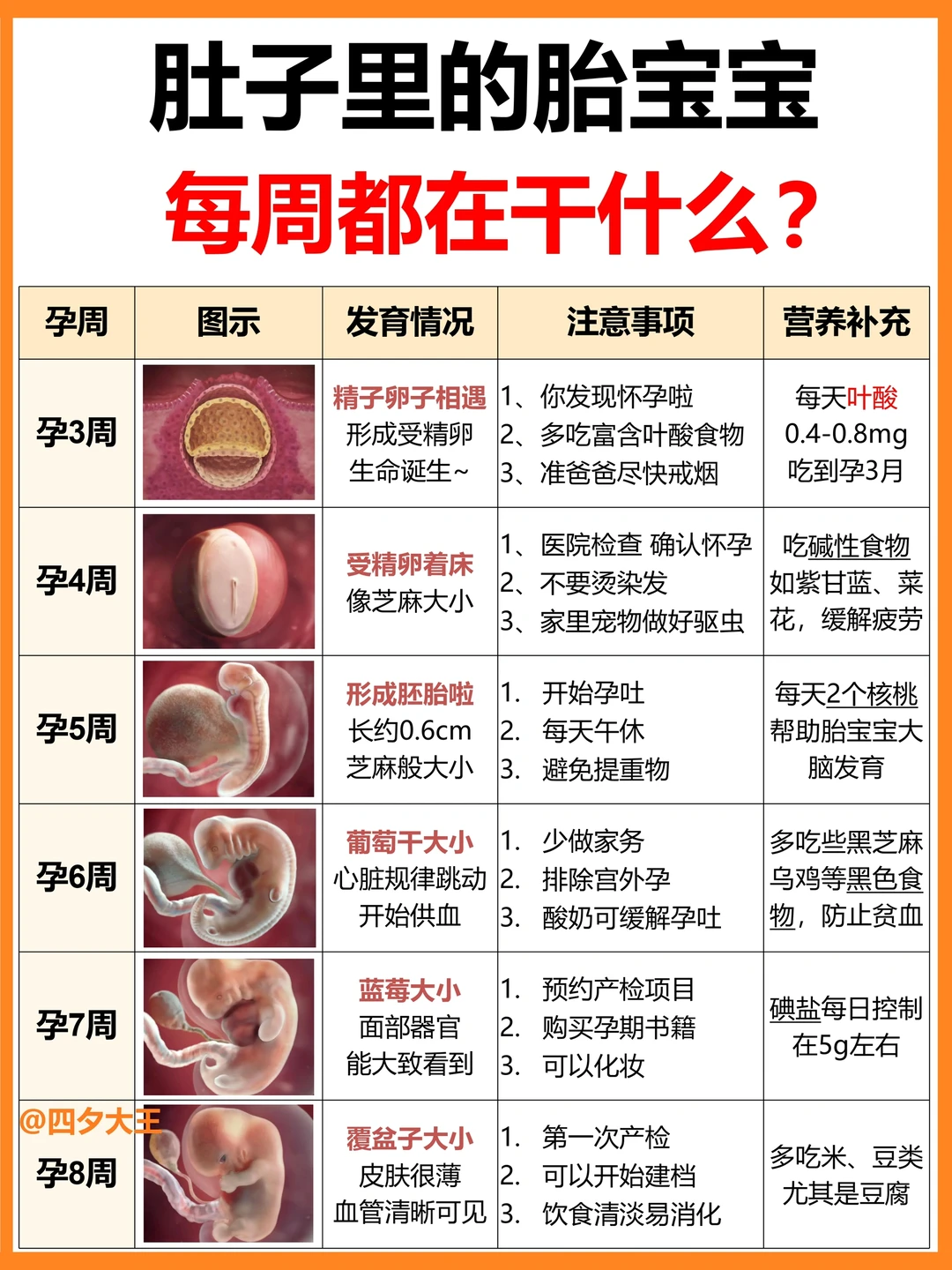 怀孕后，胎儿每周都在干什么⁉附注意事项✔️