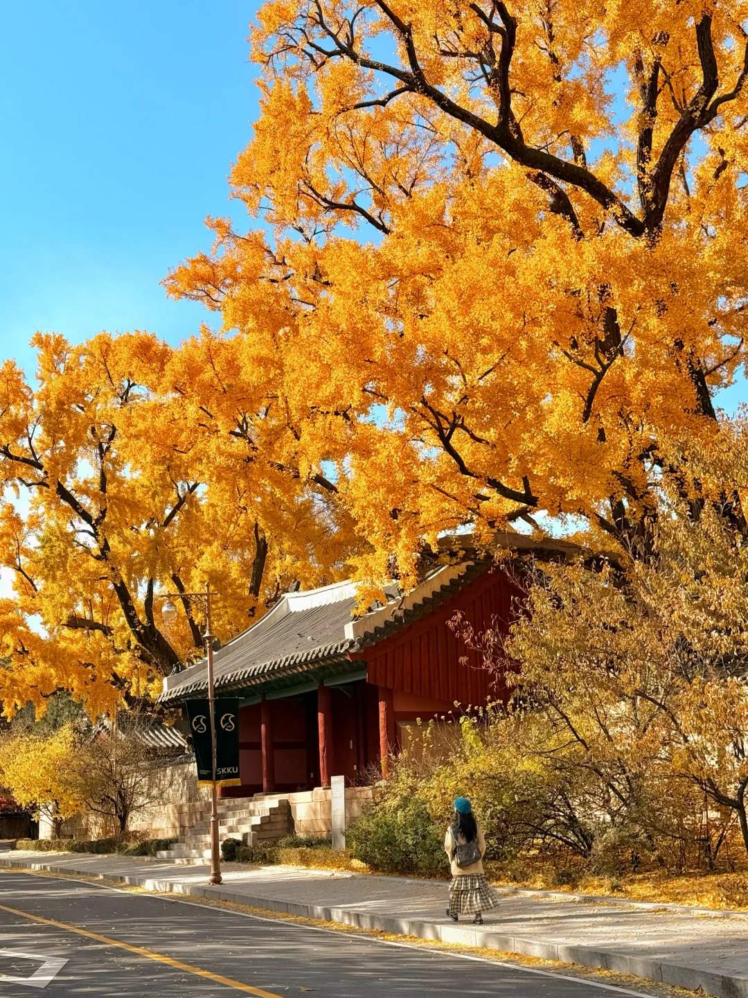 为了这组照片，我特意飞了趟秋冬的首尔