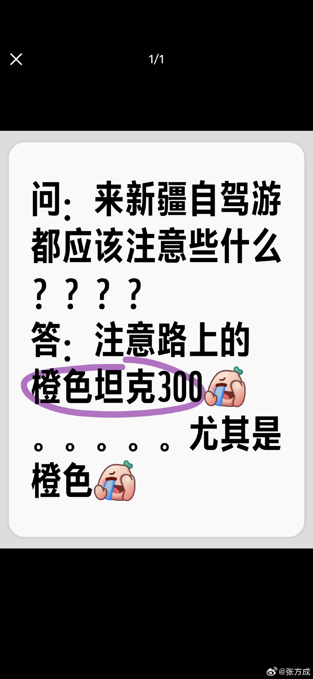 首先，坦克300绝对是个非常硬、非常安全、非常适合在新疆开的一台好车...