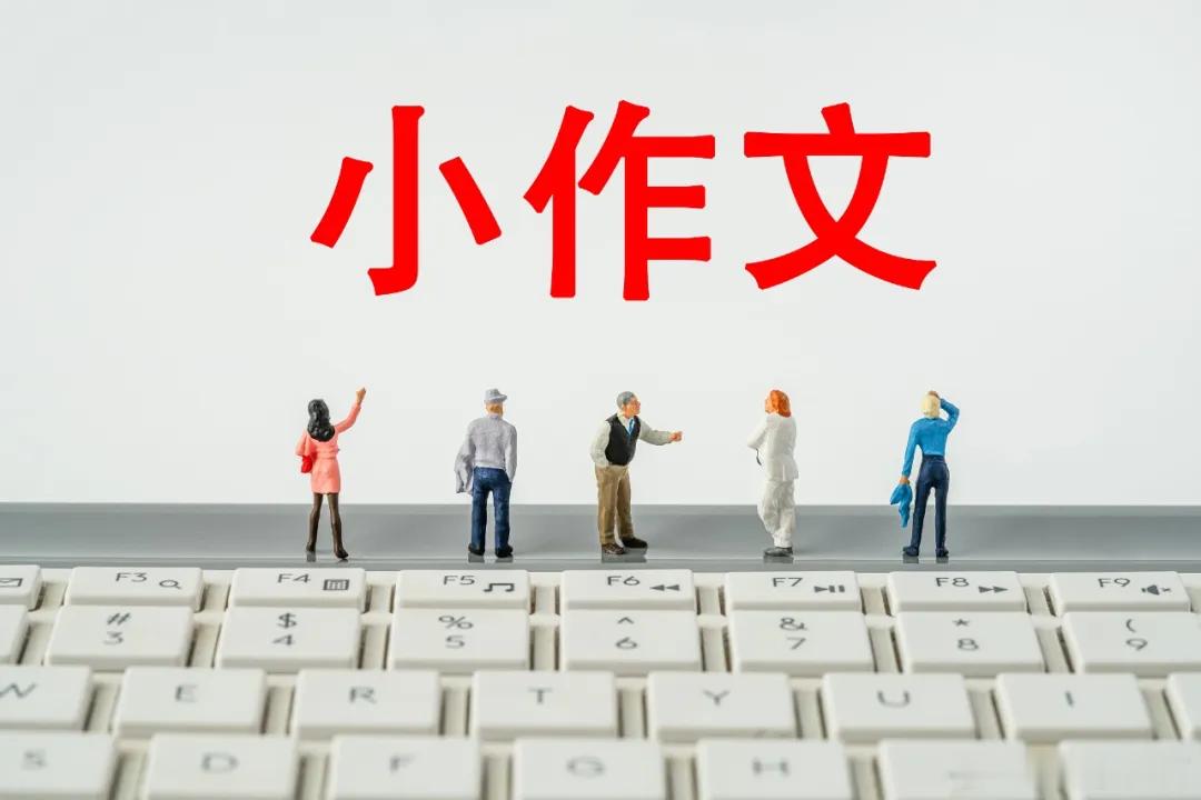 遏制“小作文”乱象，绝不能仅靠道德呼吁，必须将法治思维和法治方式贯穿于管网治网全过程。互联网不是法外之地，随着法律法规不断完善，网络内容发布者的法律责任更趋明晰。越来越多的案例证明，虚构事实、恶意引流、操纵舆论等行为，今后只会受到依法处置。警惕网络“小作文”乱象，舆论场岂能被牵着 ​