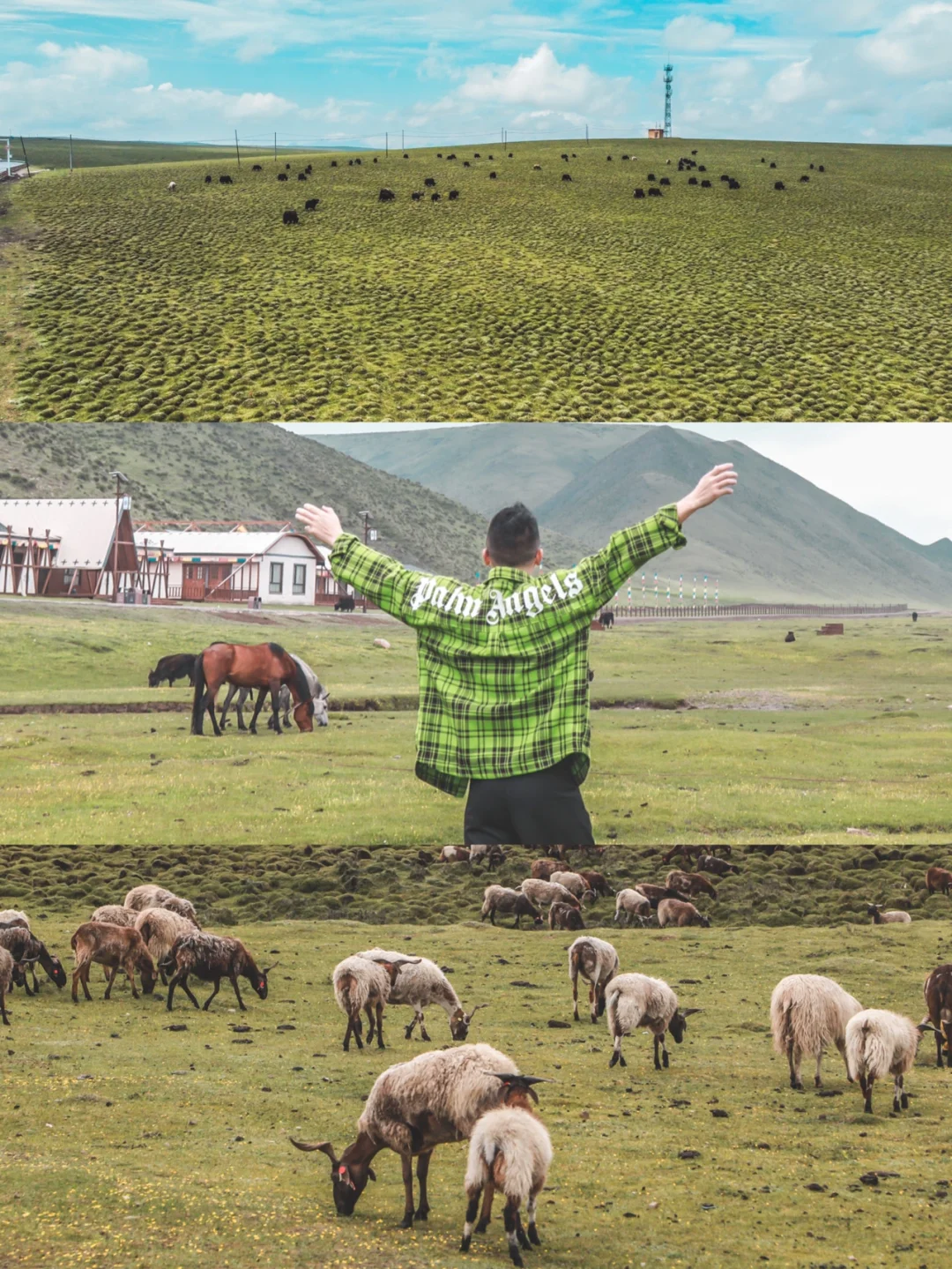 天呐，这里夏天温度可以低于10度！太爽了吧！