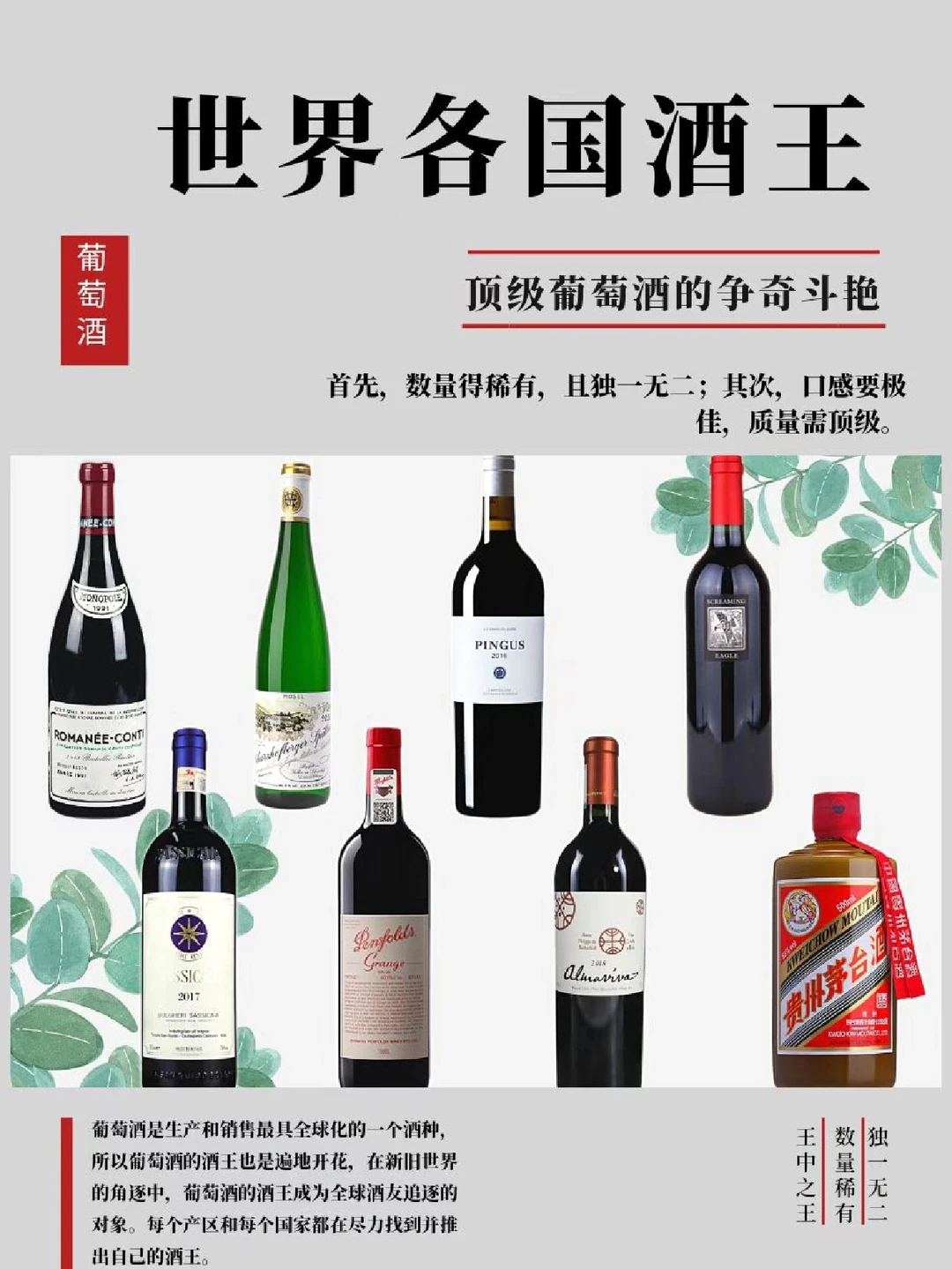 吐血整理❗️|盘点世界各国酒王🥂