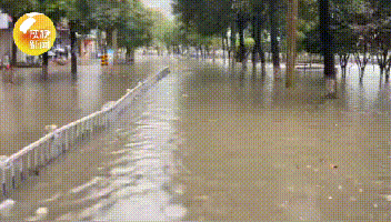 漢中市已啟動略陽縣城Ⅱ級洪水應急響應和略陽寧強嘉陵江幹流Ⅳ級洪水應急響應-圖2