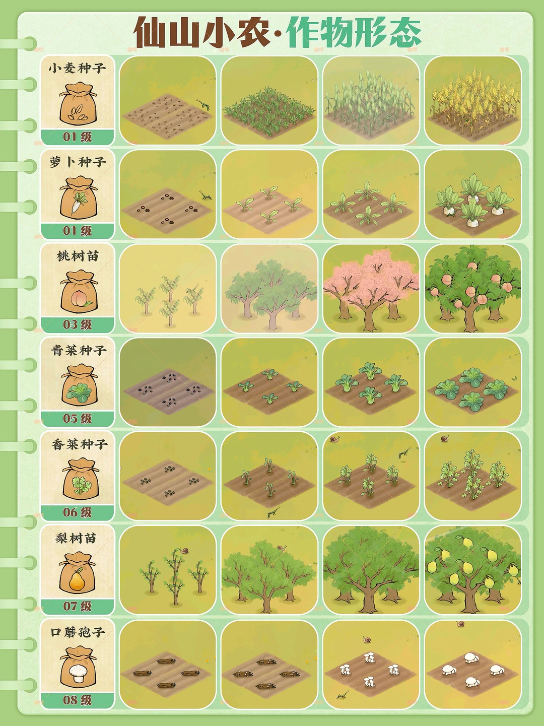 仙山小农｜每种作物的生长过程都有四种形态～