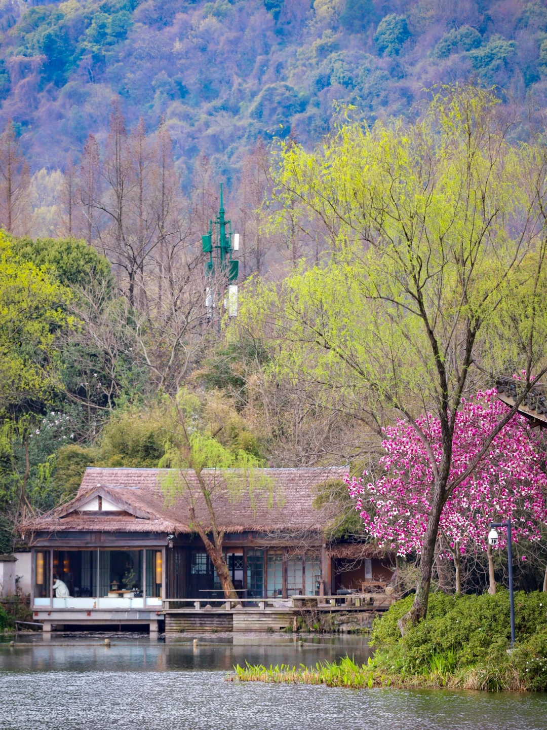 在杭州，我只去三个地方