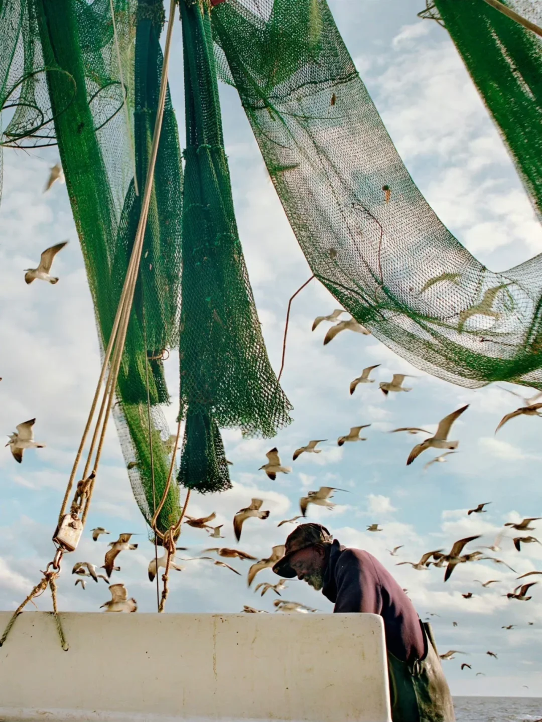 【审美提升】平凡影像诗-专题分享