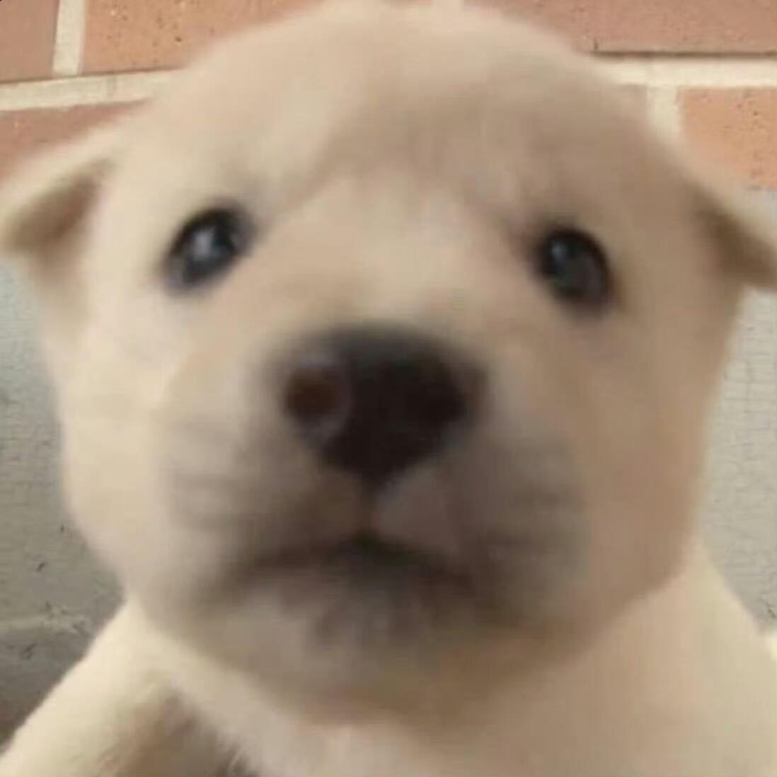 ​​​