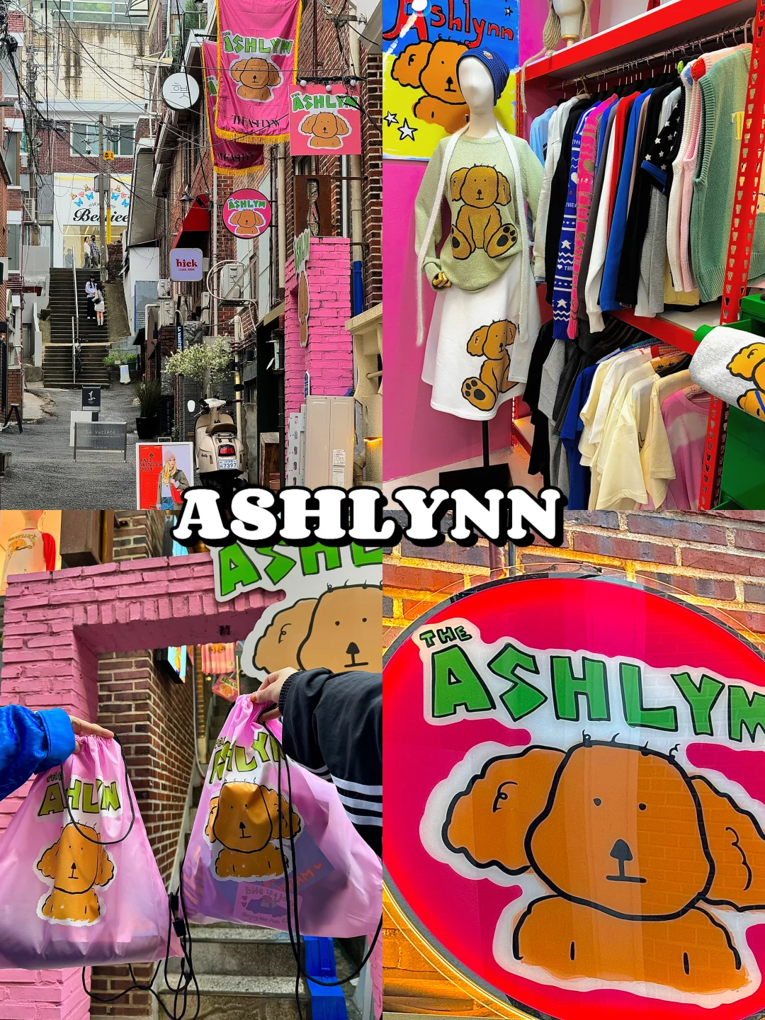 去小韩一定要打卡的店‼️汉南洞的狗门永存🐶