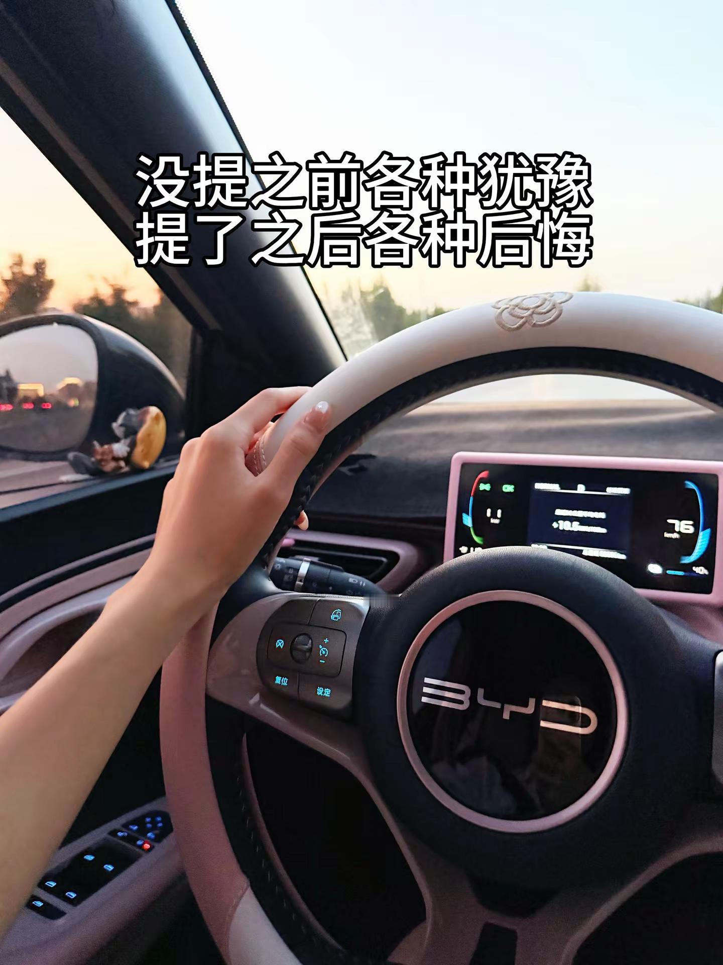 海鸥提回家，你们都后悔了嘛比亚迪