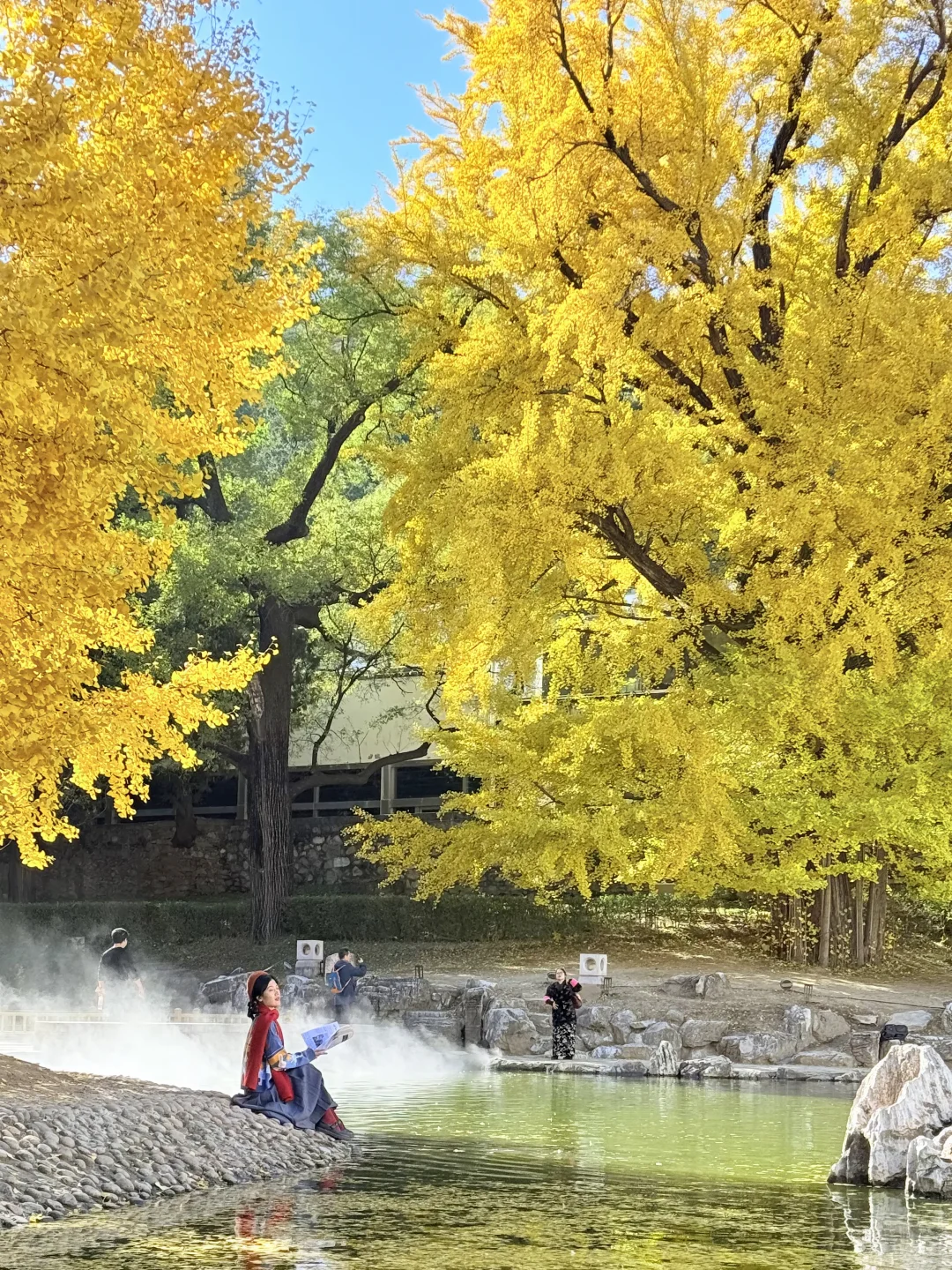 已经开始期待北京的秋天了🍂