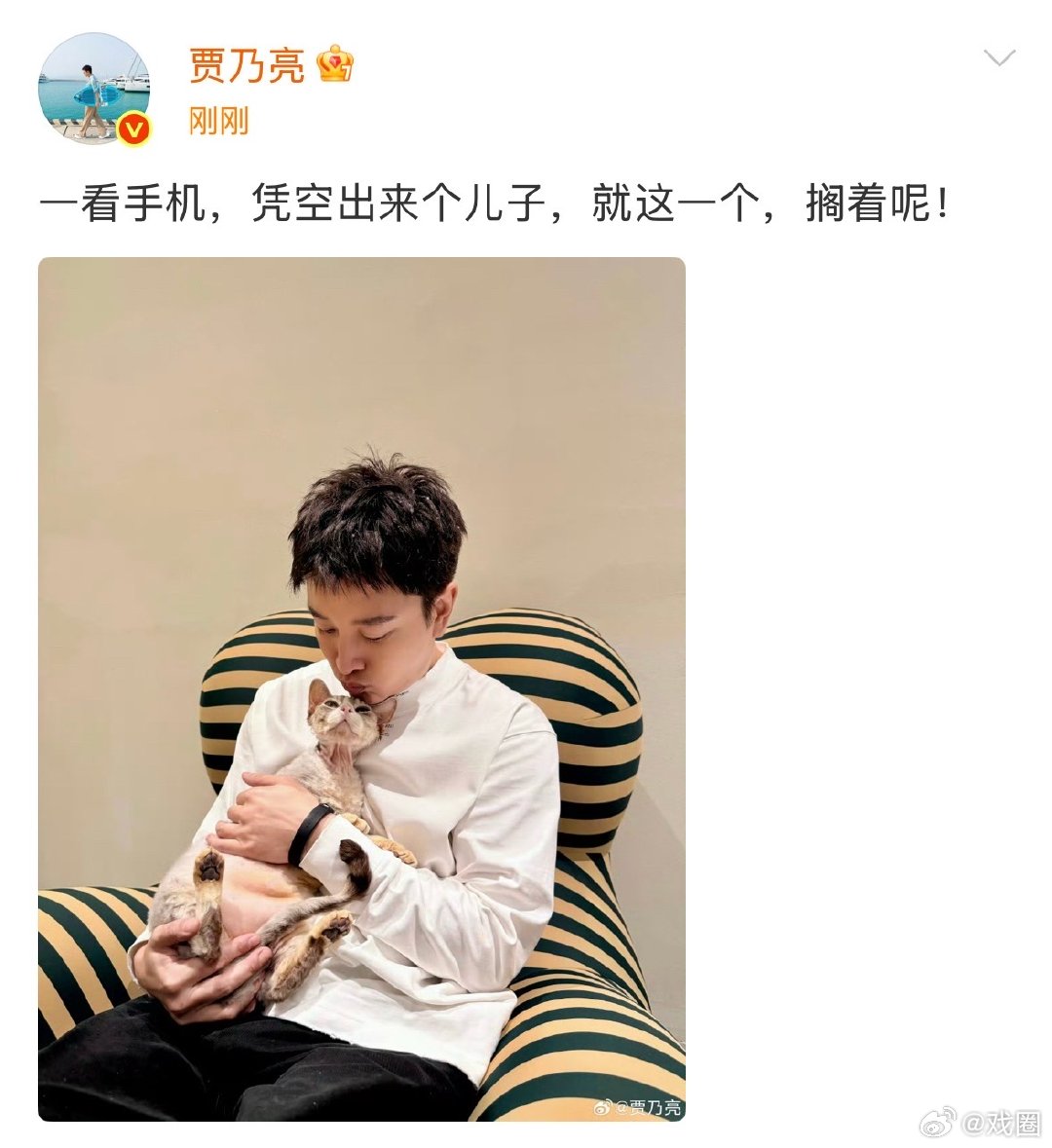 贾乃亮发文否认有儿子，直接把猫当成儿子。这回应既接地气又搞笑，真的太圈...