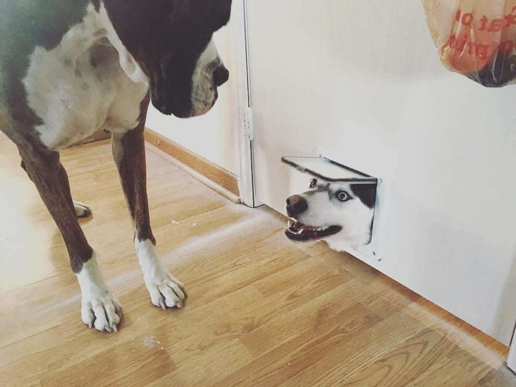 ㅤ ​