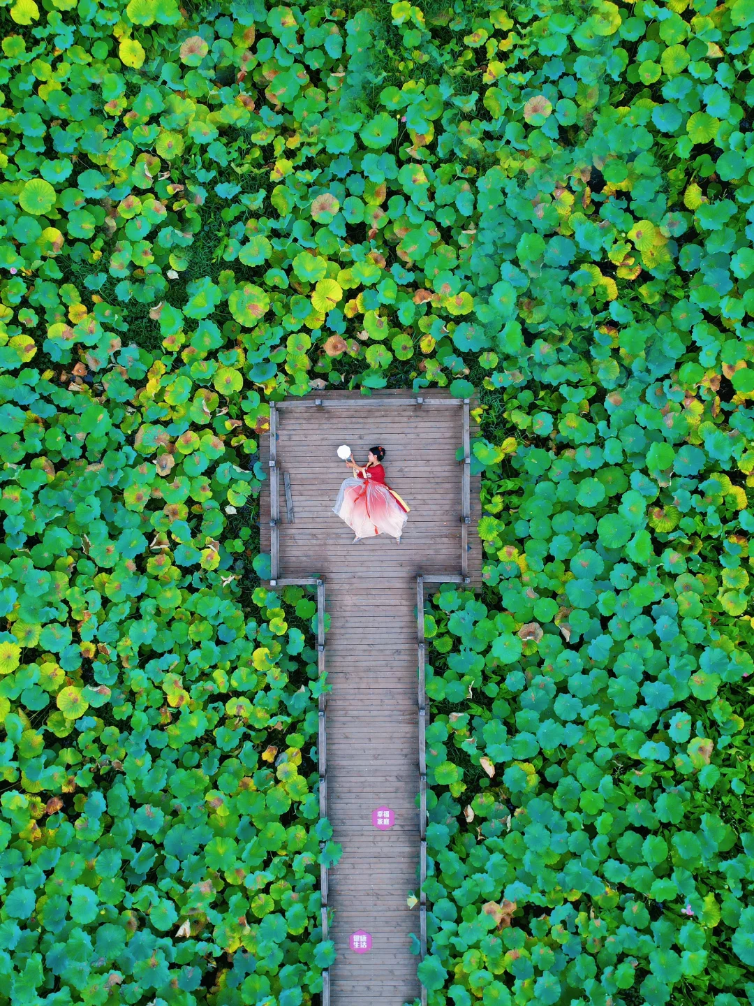 📸衢州夏日拍照全攻略 | 秒出大片！