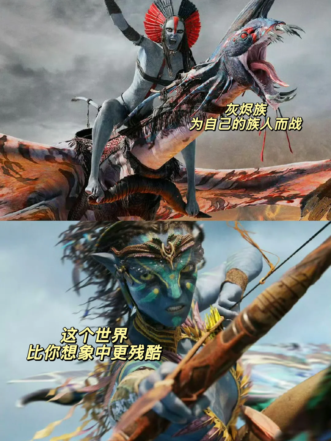 功课做好了‼️阿凡达3还是得买CINITY厅‼️