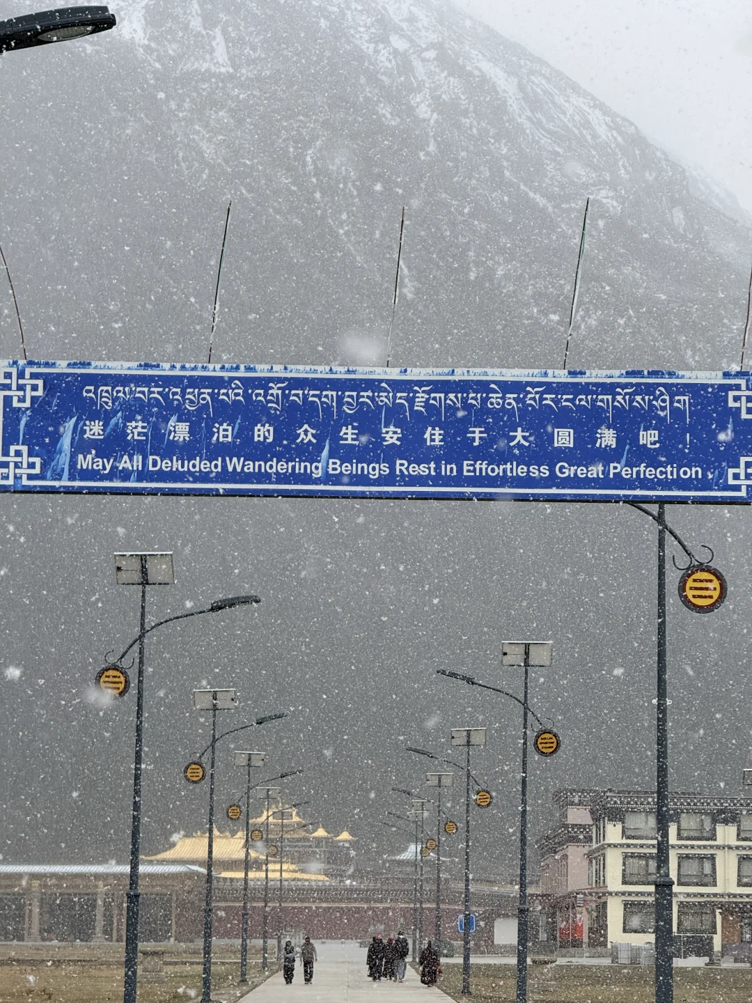 迷茫漂泊的众生安住于大圆满吧