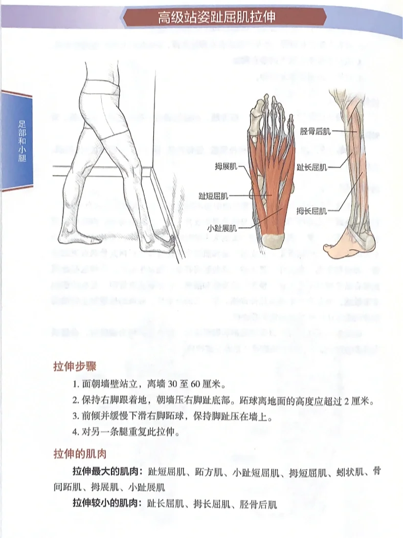 足底的简单拉伸，缓解你的脚痛