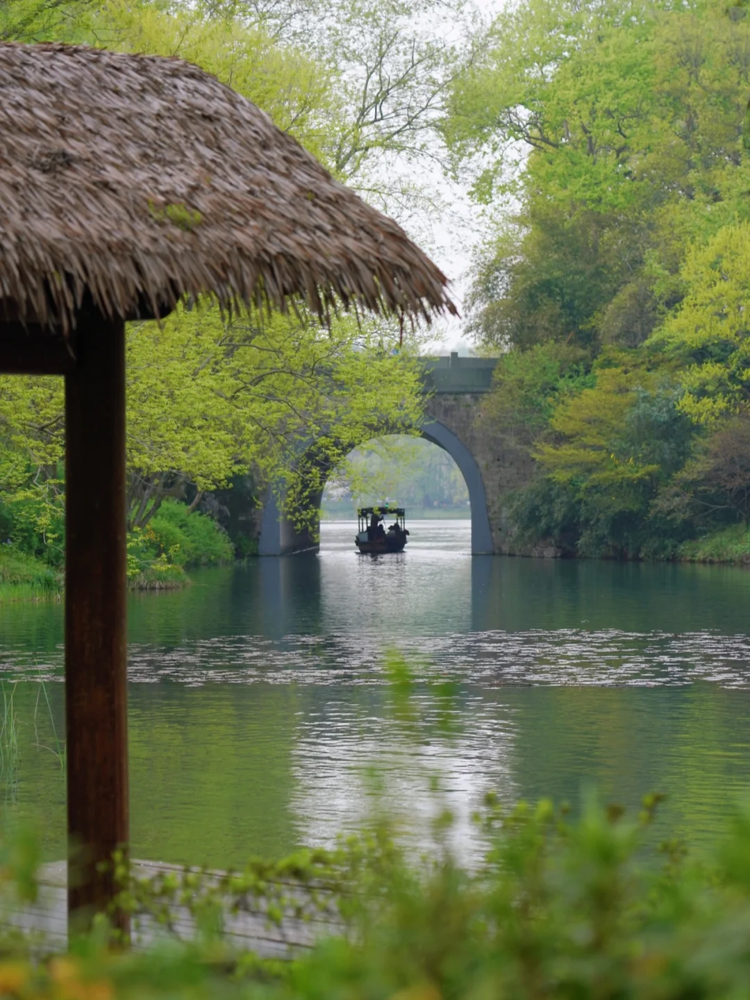 去了趟西湖浴鹄湾，把魂儿落那了😭