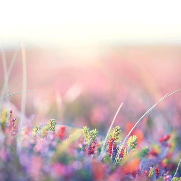 友谊的故事和朋友之间的趣事。