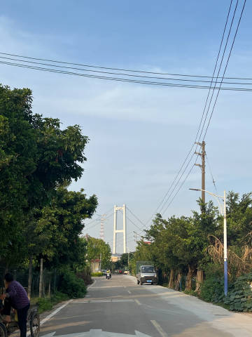 简单 安静 过好当下