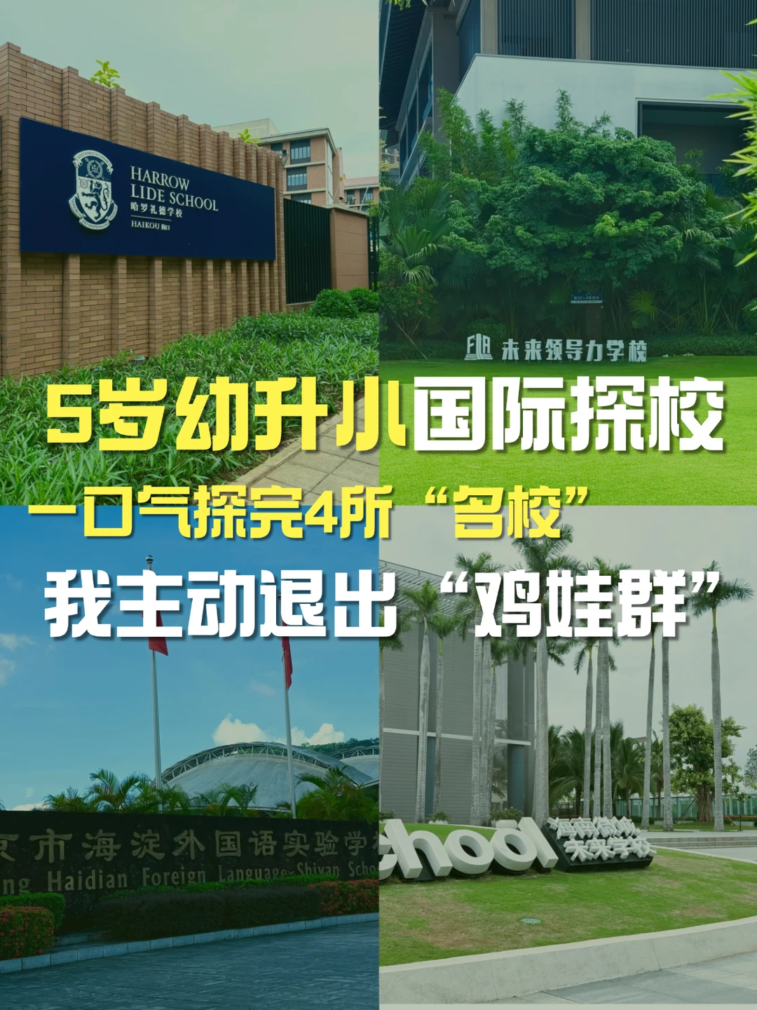 6岁幼升小探访国际学校后，我承认卷不动了