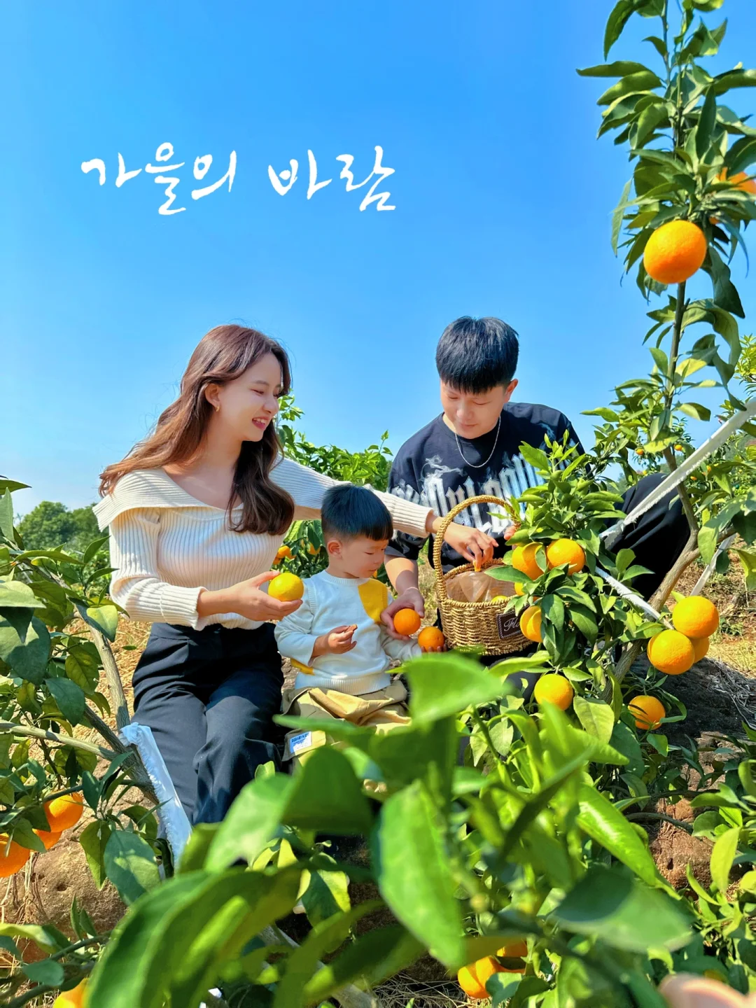 武汉遛娃9️⃣4️⃣—武汉采摘柑橘🍊好吃不上火