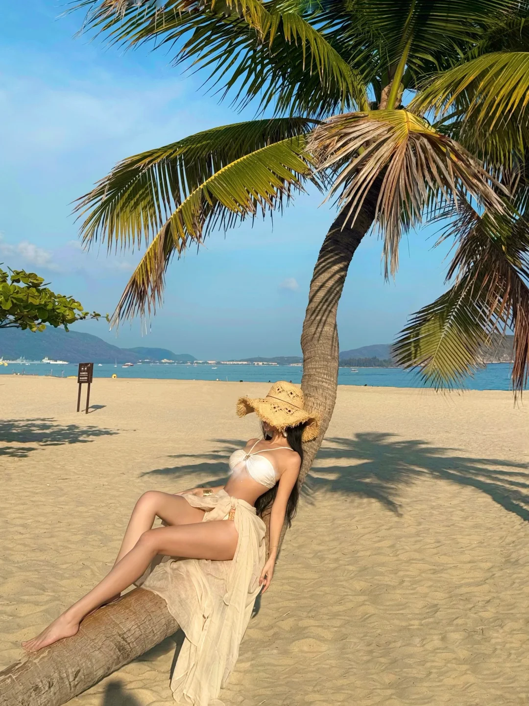 三亚｜📸打卡亚龙湾网红歪脖树🌴