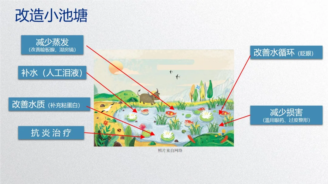 如何帮助干眼患者改善眼表环境