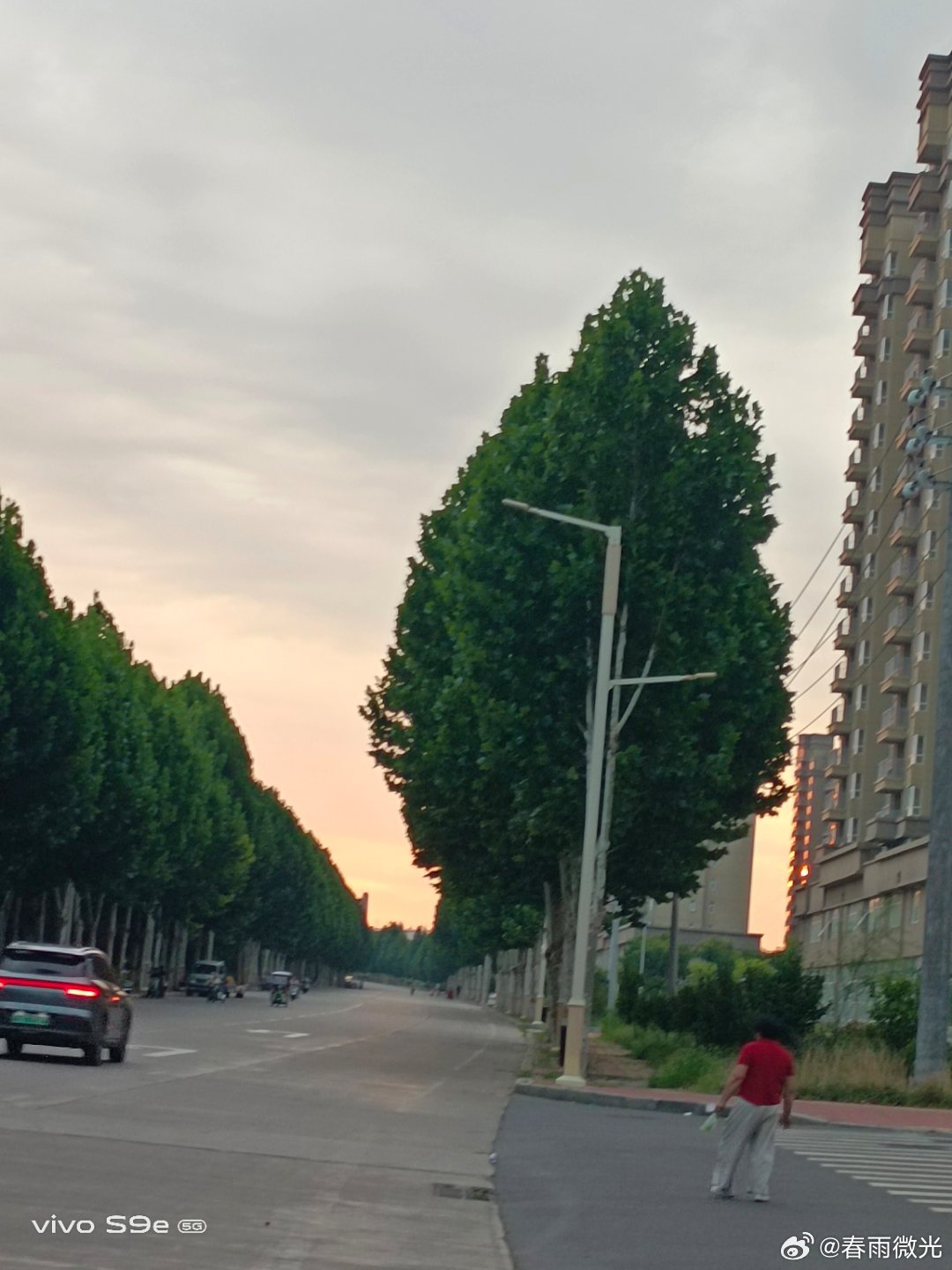#vivo[超话]##vivo超话# 今天的夕阳让天的那边出现橙色，非常的漂亮，看着树更加翠绿了。 ​