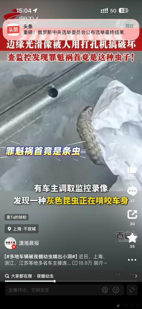 #多地车辆被夜蛾幼虫啃出小洞#这虫子嘴这么厉害呢，铁都能咬动，还不伤肠胃[傻眼] ​
