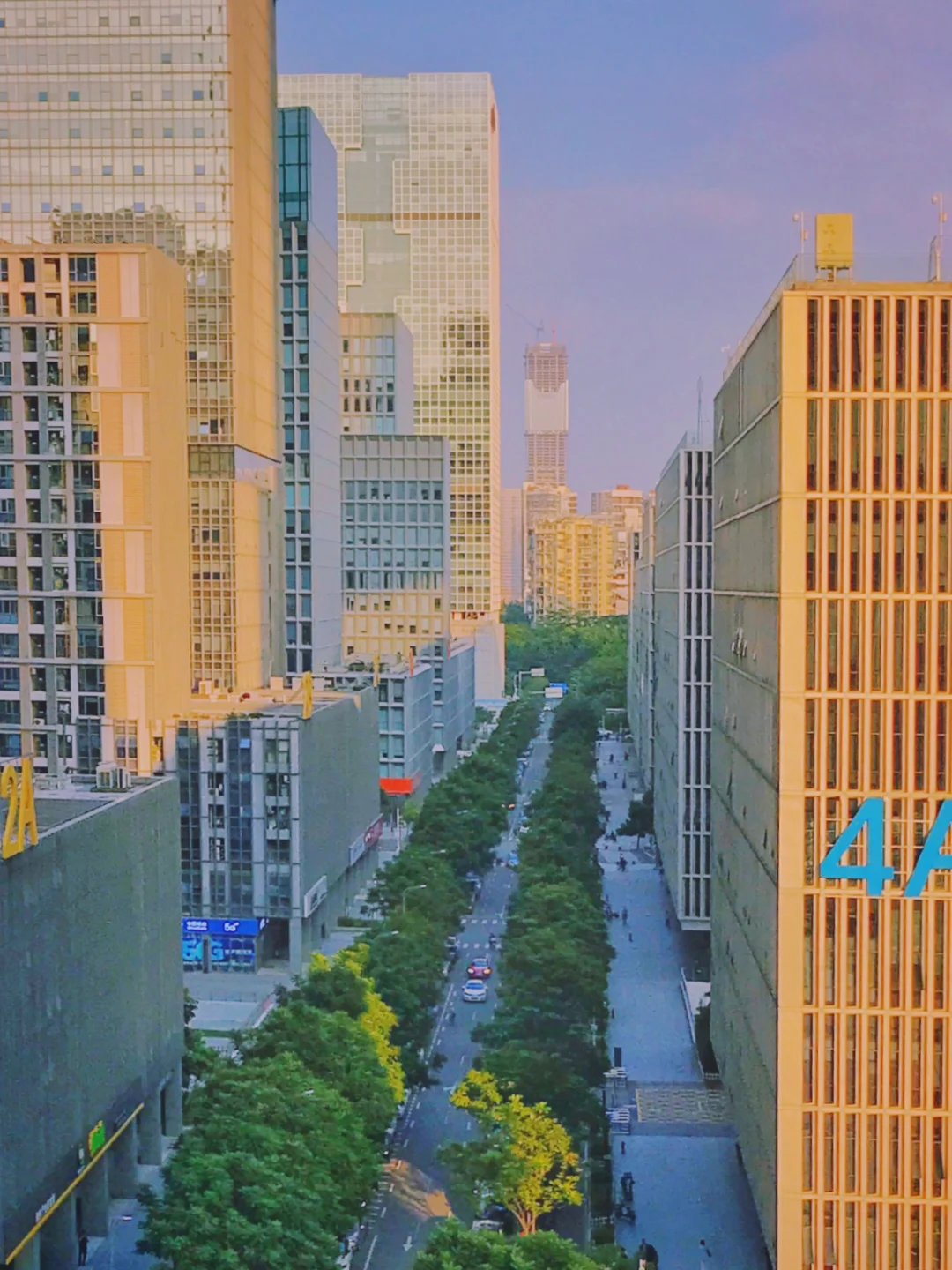 深圳湾软件基地