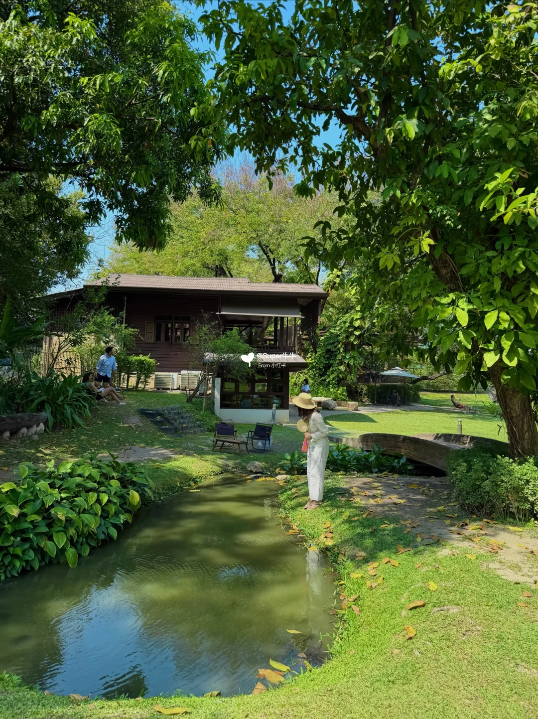 清迈🇹🇭个人觉得无法超越的咖啡店🌳...