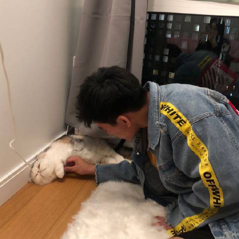坤小七Human